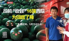 今日吃瓜完整版免费